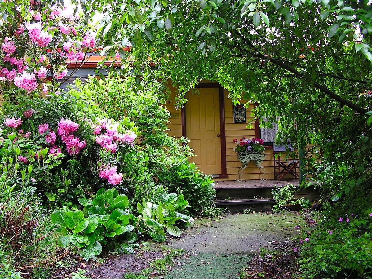 Lemonade Creek Cottages Лорне Екстер'єр фото